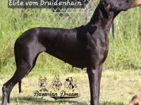Liebevolle Hände gesucht