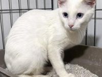 Casper