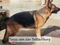 Sie darf auch in ein privates Zuhause ausziehen.