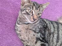 Karter Karl geboren 11.04