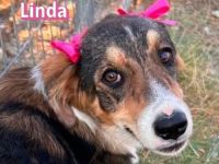 Linda, 03/26 - bezauberndes Mädel sucht Familie