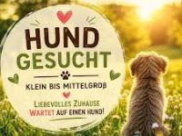 ❗️SUCHEN❗️Hund zu "kaufen"