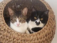 Zoe und Lucca