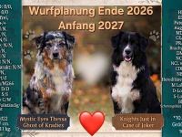 Wurfplanung für Ende 2026/Anfang 2027
