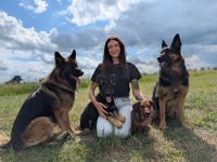 Isabell Nitsche - Stadtwolf-Hundetraining