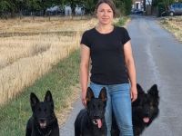 Susann Drogt - Stadtwolf-Hundetraining