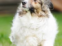 Lola - gerettet aus der Dunkelheit