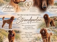 Von den Strandperlen
