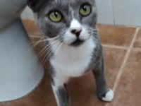 Ilda