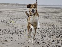 Polly sucht ihren sicheren Hafen