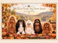 Shih-Tzu-vom-Wachbuehl.com