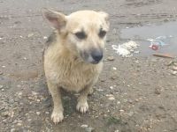 Kukla sucht ein warmes Zuhause