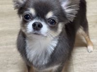 Sie sucht ein liebevolles Zuhause