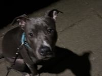 Nala 13 Monate
