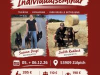 Individualseminar