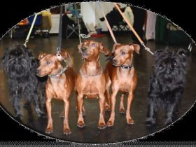 vom Reichsgraf zu Herrenheim