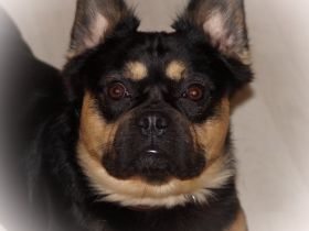 jardin de paradis seit 2004 - zeitweise von komplett untersuchten Elternteilen