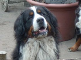 von Schünemanns Hof