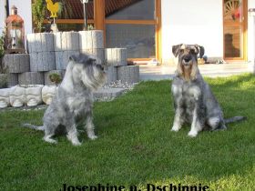 vom kleinen Felseneck