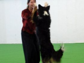 Einfach Tierisch Gut