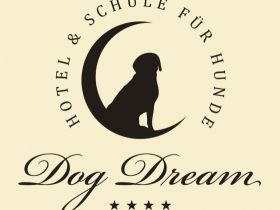 Hundeschule Arnsberg Dog Dream