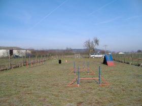 Training für Hunde und Verhaltenstherapie- Dr. Ker