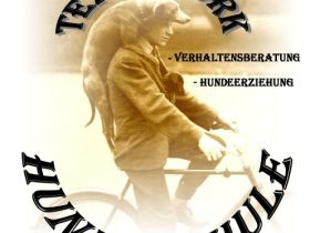 Hundeschule Teamwork in Bayern