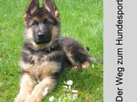 Der "virtuelle Hundeplatz" - im Ostalbkreis