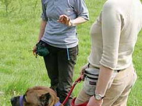 Hundeschule Aschaffenburg