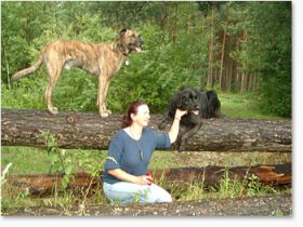 Hundeschule Cornelsen