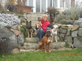 Hundeschule Schiffenberger Tal Giessen