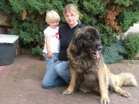 Hundeschule Wolfacademy, Zweigstelle Felsberg