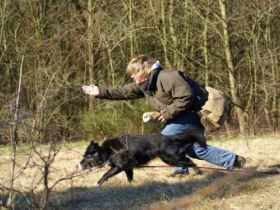 Rheinische Hundeschule