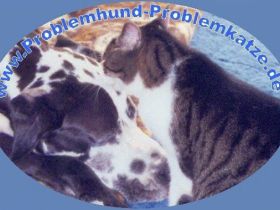 Problemhund-Problemkatze / Brandenburg
