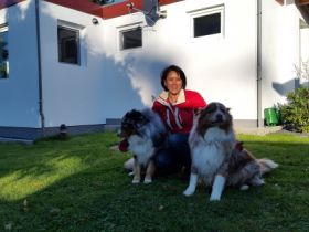 Hundepension Schlüchtern in Hessen