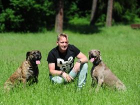 DogCoach Enrico Lombardi (Sachverständiger)