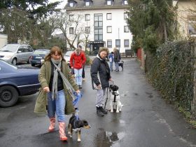 Hunde- und Halterschule Frankfurt