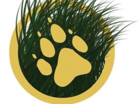 dogcom - Erziehung, Seminare, Ausbildung