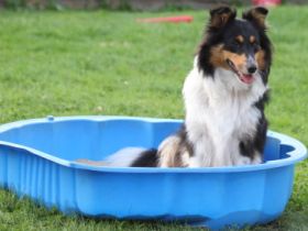 vom Tecklenburger-Berg