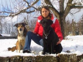 die mobile Hundeschule in Esslingen und Umgebung