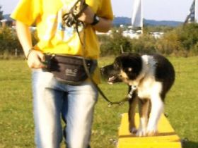 Hundeschule Sport- & Begleithunde "Glück Auf" Gosl