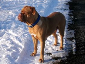 Von den Gleichbergen