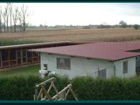 Hundepension Greiner