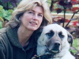 Tierpsychologische, HATIBE Hundeschule