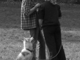 "Fair Play" Hundeschule Sondermann