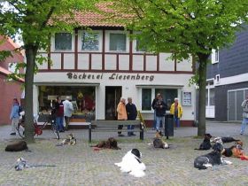 Hundeschule Assmann