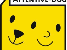 Attentive-Dog Hundeschule in Wiesbaden