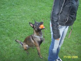 Chez Zara, private Hundepension