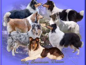 from Big American Dream