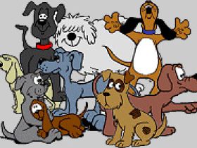 Hundesportverein Höfingen e.V.-Hundeschule